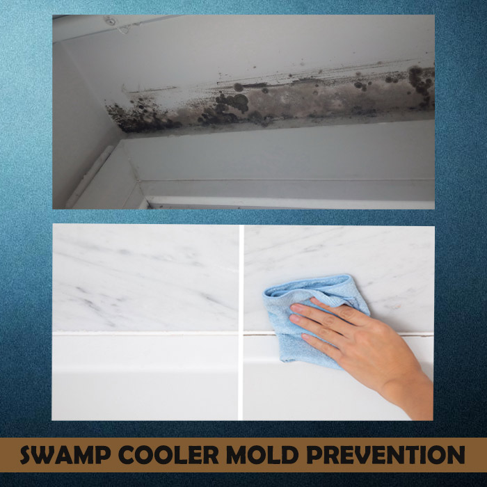 How to prevent mold in swamp coolers