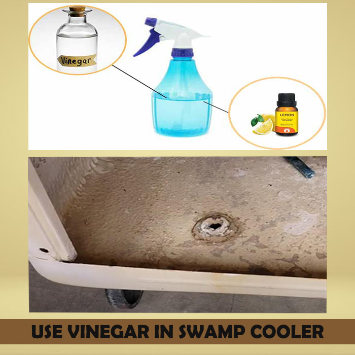 Vinegar In Swamp Cooler