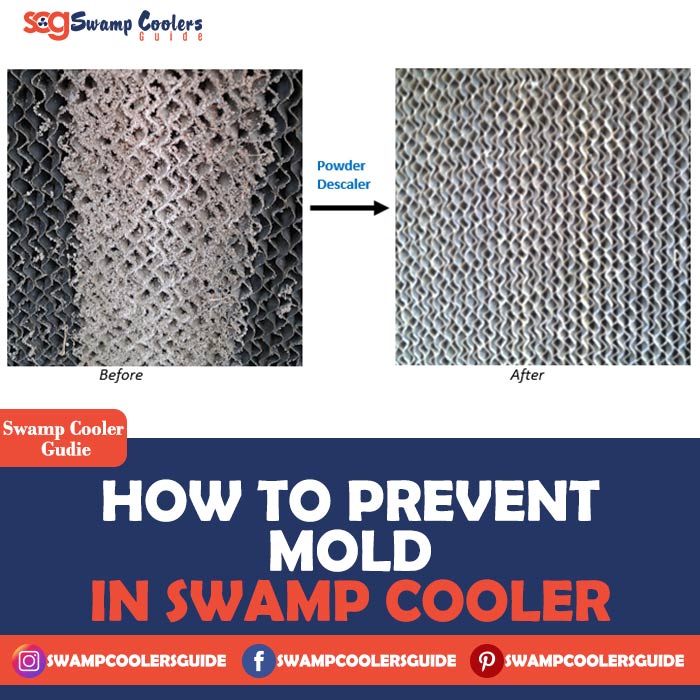 How To Prevent Mold In Swamp Coolers