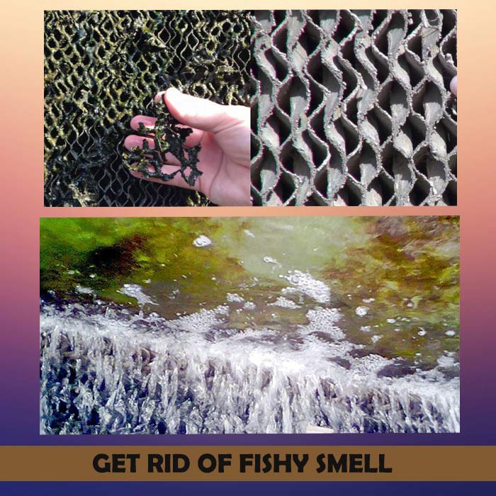 How to get rid of fishy smell in swamp cooler