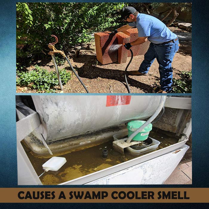 What Causes a Swamp Cooler to Smell like Fish