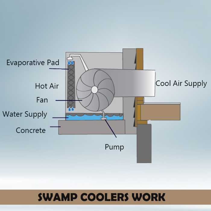 How Do Swamp Coolers Work?