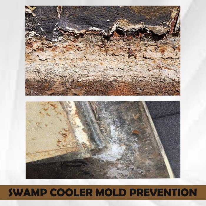 Swamp Cooler Mold Prevention